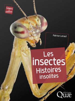Cover of the book Les insectes by Tahar Rachadi