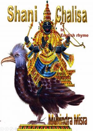 Cover of the book Shani Chalisa In English Rhyme by Arron Adams