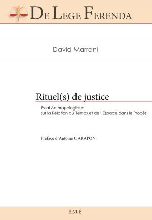 Cover of the book Rituel(s) de justice by Marc Van Campenhoudt, Nathalie Lemaire, Rita Temmerman