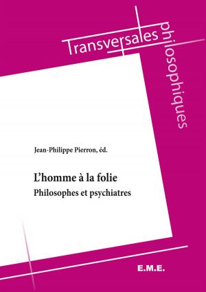 Cover of the book L'homme à la folie by Paul Vandevijvere