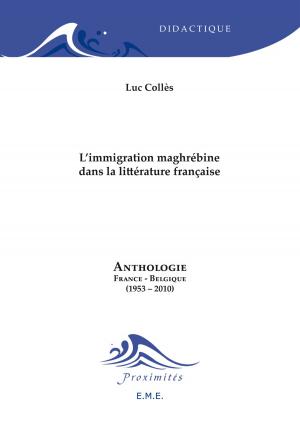 Cover of the book L'immigration maghrébine dans la littérature française by Jean-Jacques Richer