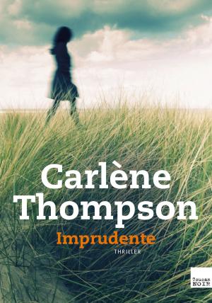 Cover of the book Imprudente by Ségolène de Margerie