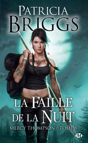 Cover of the book La Faille de la nuit by Lita Locke