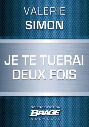 Cover of the book Je te tuerai deux fois by Fabio M. Mitchelli
