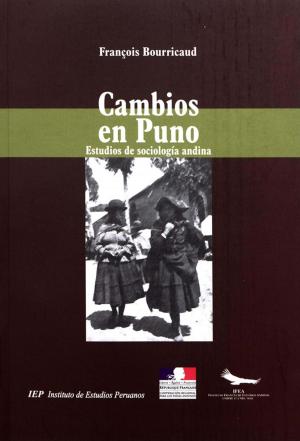 Cover of the book Cambios en Puno by Rolando Rojas Rojas