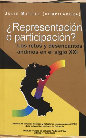 Cover of the book ¿Representación o participación? by Daniel Parodi Revoredo