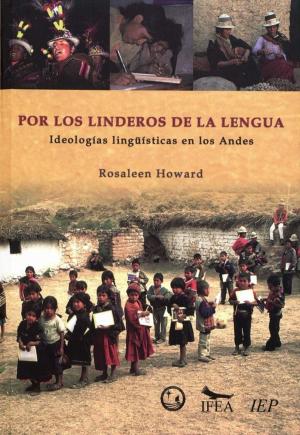 Cover of the book Por los linderos de la lengua by Collectif