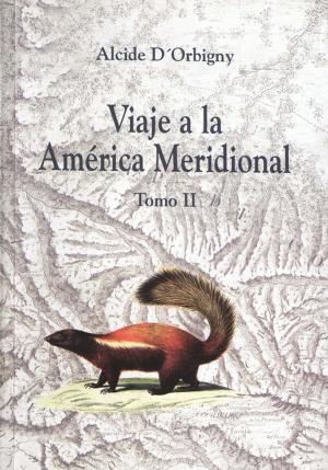 Cover of the book Viaje a la América Meridional. Tomo II by Vincent Goueset
