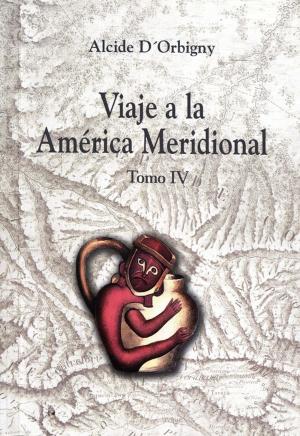 Cover of the book Viaje a la América Meridional. Tomo IV by Adolfo Mier