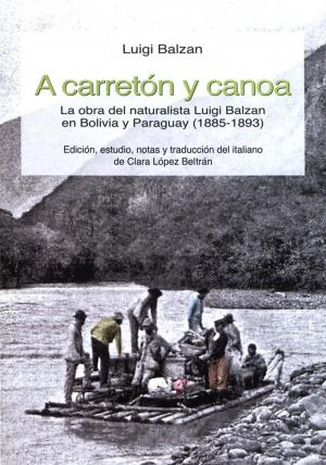 Cover of the book A carretón y canoa by Javier Sanjines C.