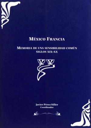 Cover of the book México Francia by Michel Bertrand