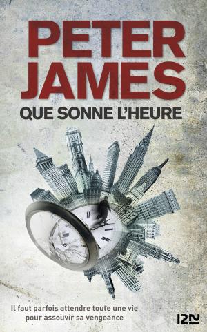Cover of the book Que sonne l'heure by SAN-ANTONIO
