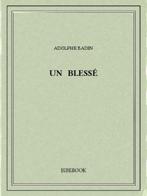 Cover of the book Un blessé by Diane Farr