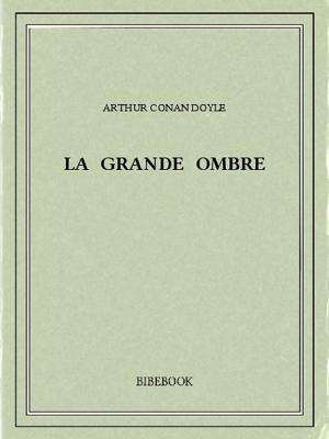 Cover of the book La grande Ombre by Alphonse Daudet