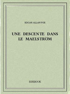Book cover of Une descente dans le maelström