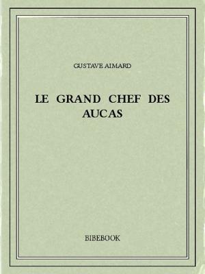 Book cover of Le Grand Chef des Aucas