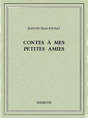Cover of the book Contes à mes petites amies by Hector Malot