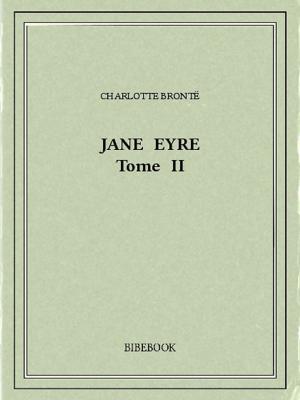 Cover of the book Jane Eyre II by Michel Zévaco