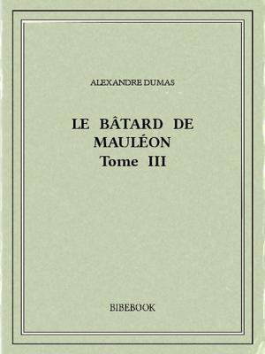 Cover of the book Le bâtard de Mauléon III by Hans Christian Andersen