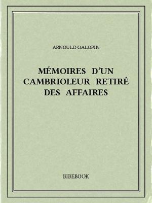 Book cover of Mémoires d'un cambrioleur retiré des affaires