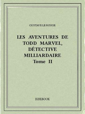 Book cover of Les aventures de Todd Marvel, détective milliardaire II