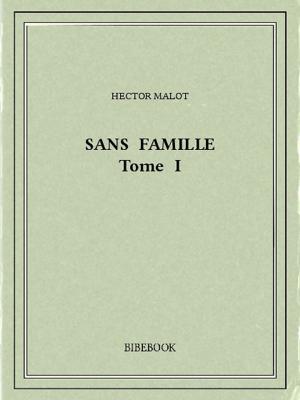 Cover of the book Sans famille I by Edgar Allan Poe