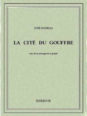 Cover of the book La cité du gouffre by Alphonse Daudet