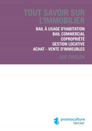 Cover of the book Tout savoir sur l'immobilier by Lex Thielen