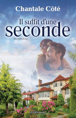 Cover of the book Il suffit d'une seconde by Élisa T.