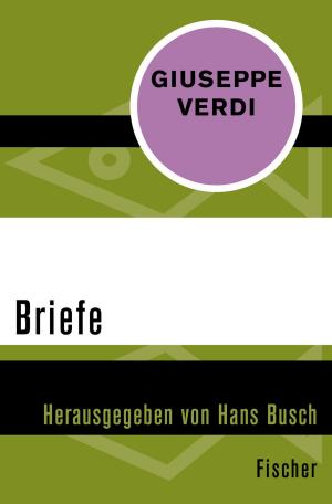 Cover of the book Briefe by Suyin Han