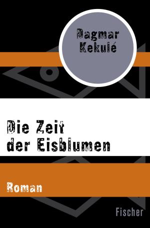 Cover of the book Die Zeit der Eisblumen by Gunnar Staalesen