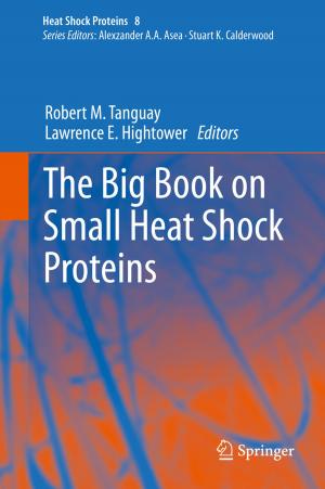 Cover of the book The Big Book on Small Heat Shock Proteins by Thomas J. Quirk