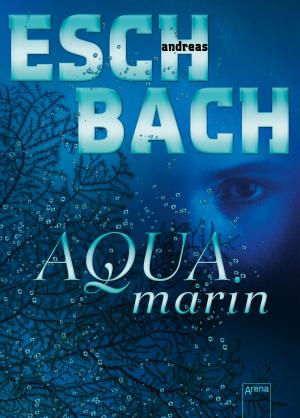 Cover of the book Aquamarin by Antje Babendererde