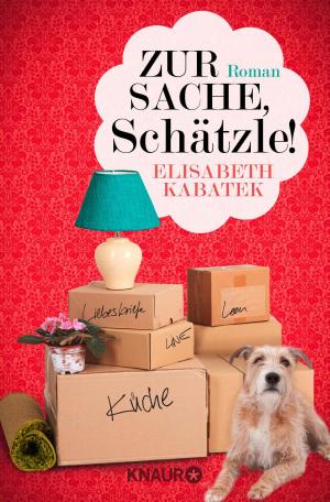 Cover of the book Zur Sache, Schätzle! by Tanja Kinkel