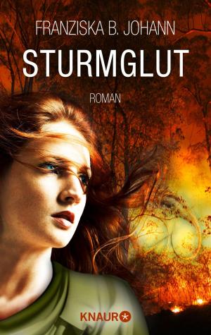 Cover of the book Sturmglut by Tanja Kinkel