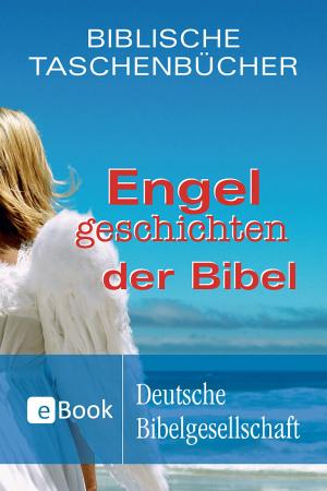 Cover of the book Engelgeschichten der Bibel by Jan-A. Bühner