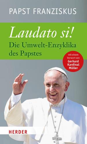 bigCover of the book Laudato si by 