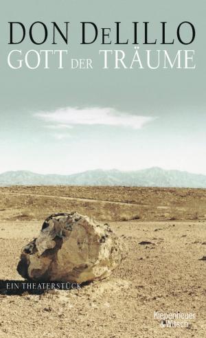 Cover of the book Gott der Träume by Kathrin Schmidt
