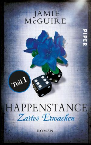 Cover of the book Happenstance Teil 1 by Susanna Kearsley