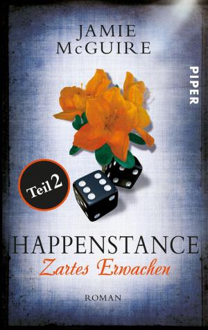 Cover of Happenstance Teil 2