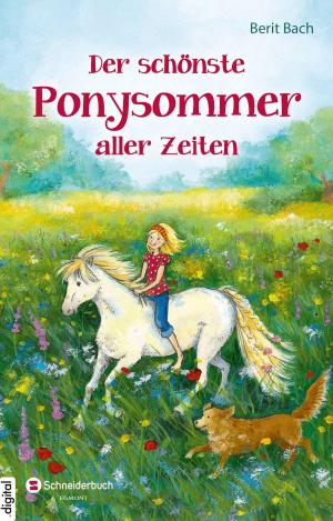 Cover of the book Der schönste Ponysommer aller Zeiten by Enid Blyton