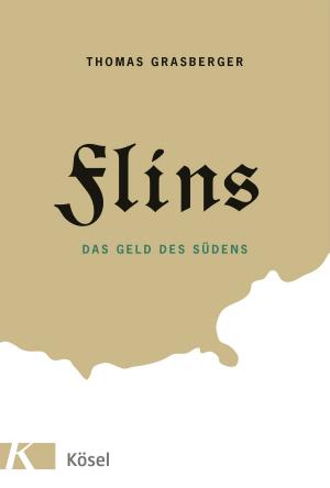 Cover of the book Flins by Anke Precht