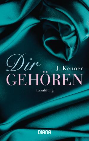 Cover of the book Dir gehören by Felicitas Gruber