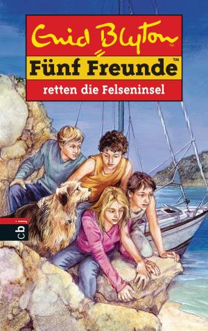 Book cover of Fünf Freunde retten die Felseninsel