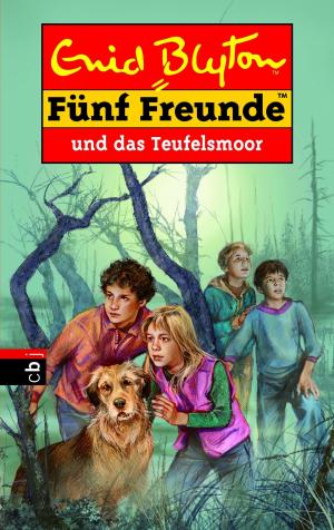 Book cover of Fünf Freunde und das Teufelsmoor