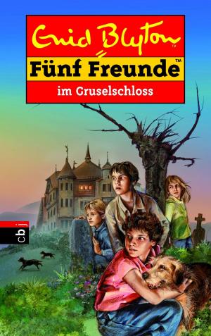 Book cover of Fünf Freunde im Gruselschloss