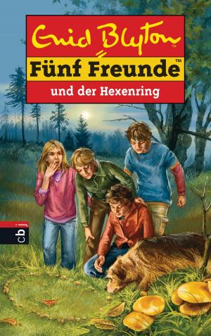 Book cover of Fünf Freunde und der Hexenring