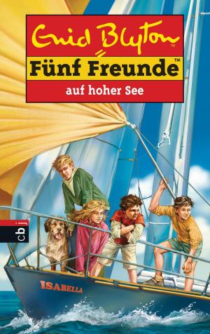 Cover of the book Fünf Freunde auf hoher See by Annette Roeder