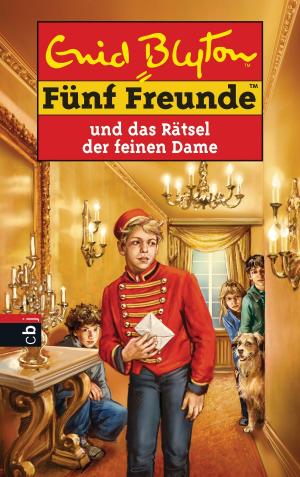 Cover of the book Fünf Freunde und das Rätsel der feinen Dame by Peter Jay Black