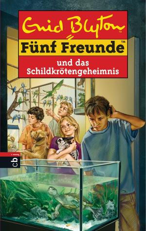 Cover of the book Fünf Freunde und das Schildkrötengeheimnis by Enid Blyton